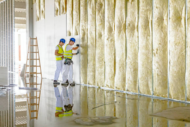 Eco-Friendly or Green Insulation Solutions in Skyline Acres, OH